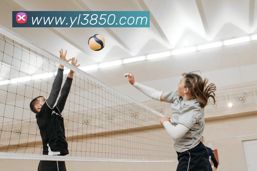 体育赛事直播